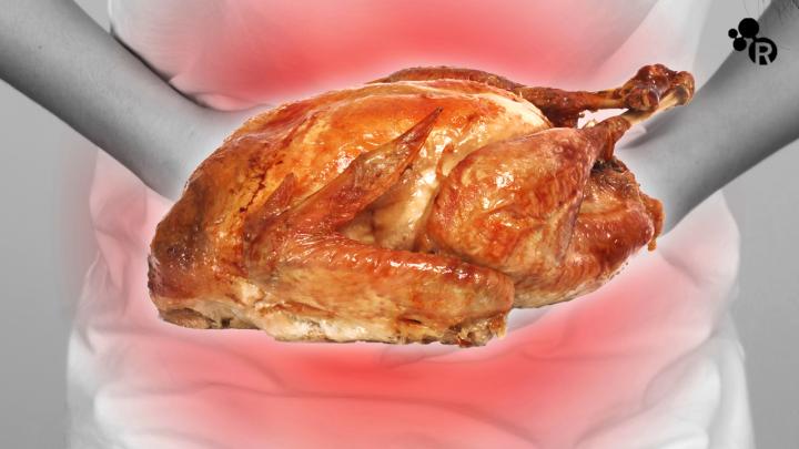 Too Much Turkey: What Happens when You Overeat?
