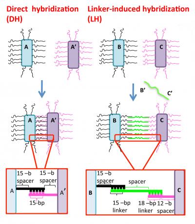 Schematic of Nanoassembly Mechanism
