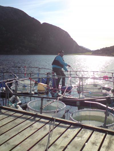 Unlocking the Puzzle of CO2 Uptake