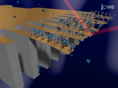 Cantilever Sensory Array Visualization