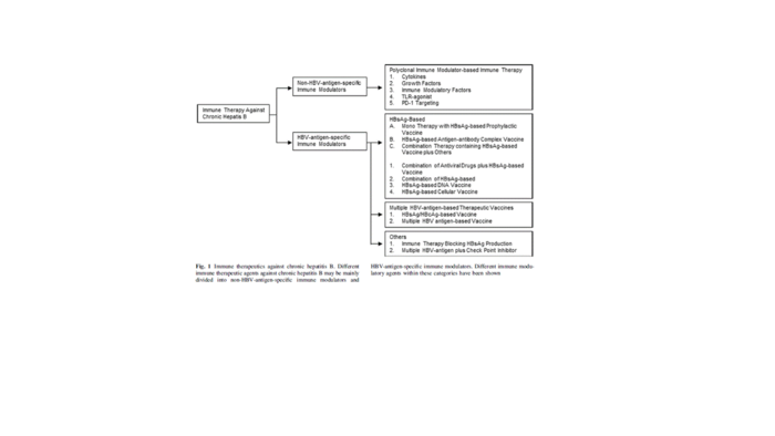 Immune Therapies Against Chronic Hepatitis B