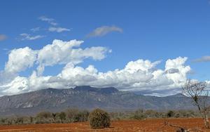 Forest loss intensifies climate change by increasing temperatures and cloud level, which leads to decrease of water