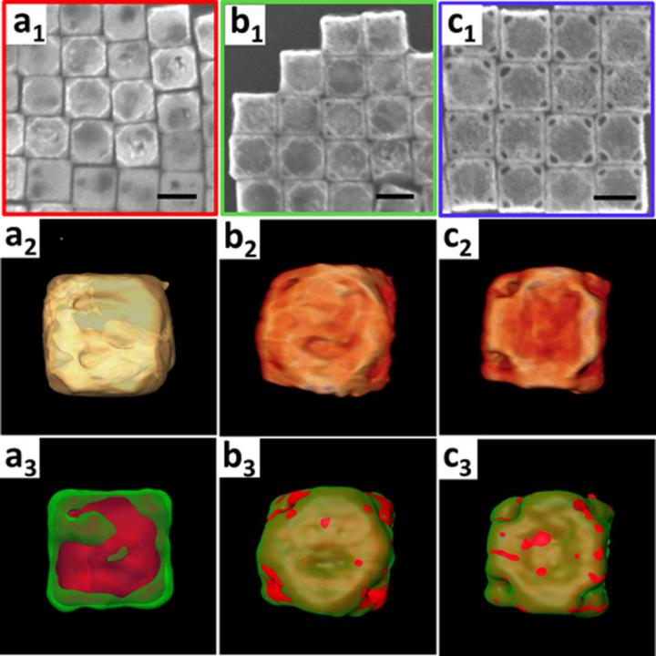 Nanowrapper Evolution Images