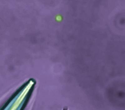 'Nanodrop' Test Tubes Created with a Flip of a Switch