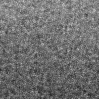Electron Micrograph of Glassy Palladium