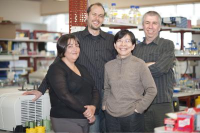 Angela D'Amico and Drs. Sebastian Carotta, Li Wu and Stephen Nutt, Walter and Eliza Hall Institute