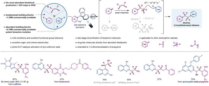 Modular assembly of ethylene, arenes and heteroarenes