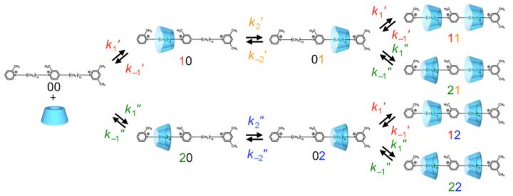 Fig.2 A Simplified Kinetic Model 