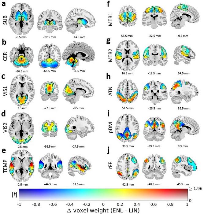 Georgia State Researchers Uncover New Ways to Identify Signatures of Mental Disorders Using fMRI Scans Georgia State Researchers Uncover New Ways to Identify Signatures of Mental Disorders Using fMRI Scans