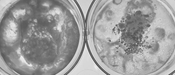 Left: inorganic structure used as a model system for hydrothermal vents. Right: hybrid organic-inorganic structure that promotes the formation of protocells