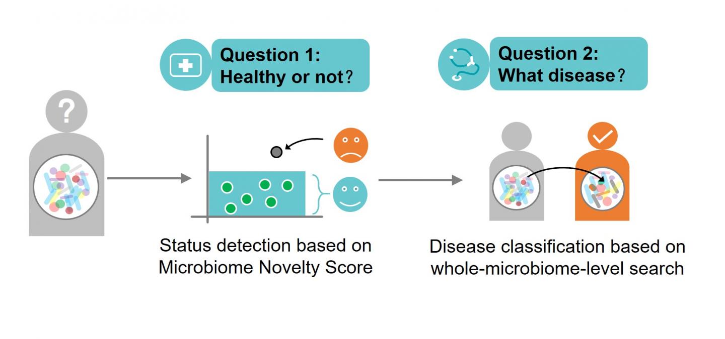 Multiple Disease Detection and Classification Via Microbiome Search