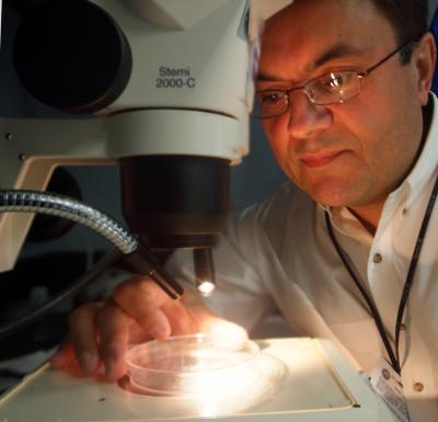 Dr. Anatolij Horuzsko