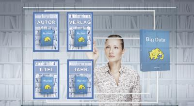 Big Data: Searching in Large Amounts of Data Quickly and Efficiently