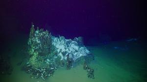 Volcanic ash and mollusc shells surround a deep-sea hydrothermal vent at the vent field in the Kingdom of Tonga, Pacific Ocean.