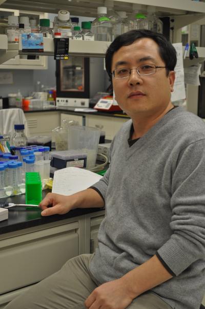 Peihua Jiang, Monell Center