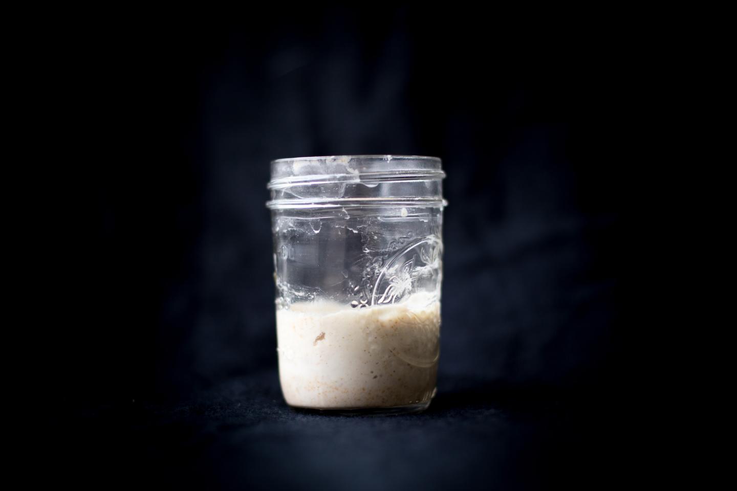 Sourdough starter