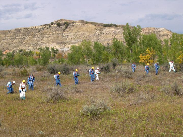 Herbicide Application