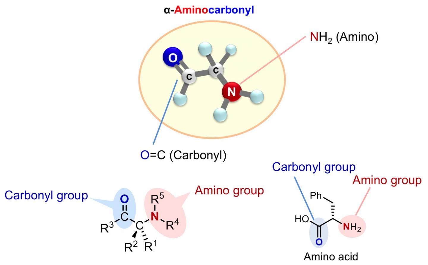 α-Aminocarbonyls