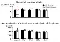 Figure 2. Stimulation of Serotonin Nerve Terminals in the Amygdala Inhibits Cataplexy