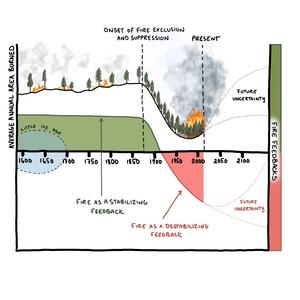 Evolution of wildfires