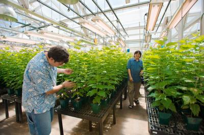 Yordan Yoedanov and Hairong Wei, Michigan Technological University