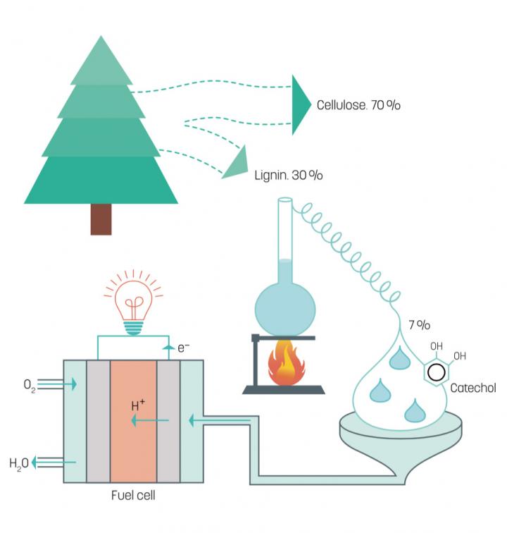Illustration of the Fuel Cell
