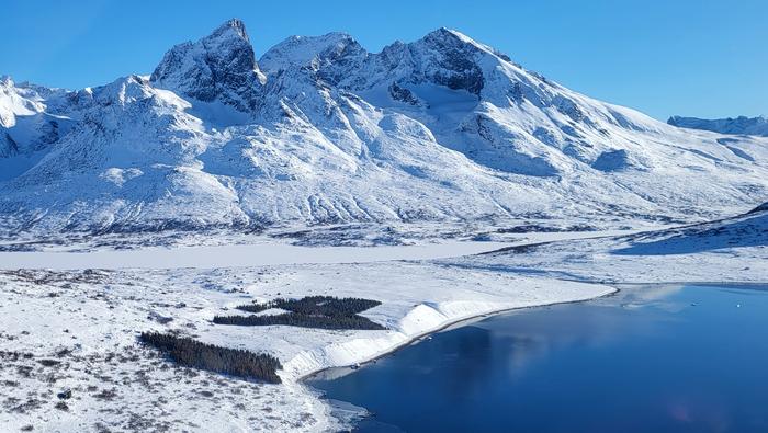 Plantation in South Greenland