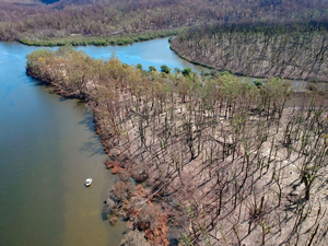 Estuary burn zones