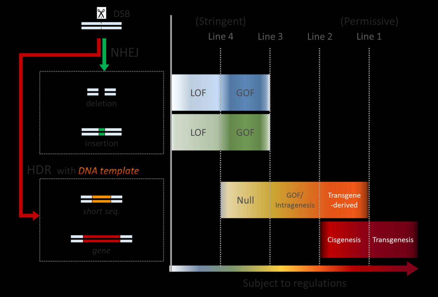 Regulatory Models for Genome-Edited Crops