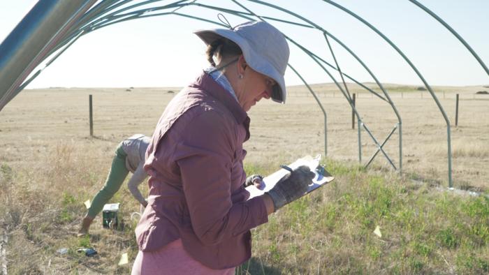 Melinda Smith conducting research in the field