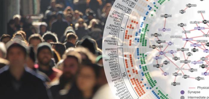 Crowd of people and a map showing autism vulnerability genes over the entire genome.