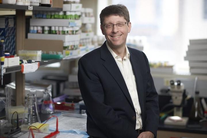 Bruce Gelb, Mount Sinai Health System