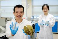 NTU Professor William Chen (Left) Holding up a Hydrogel Bandage Made from Durian