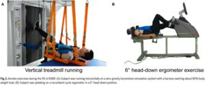 Fig. 2. Aerobic exercises during the 90-d HDBR. (A) Subject was running horizontally on a zero-gravity locomotion simulation system with a harness exerting about 80% body weight load. (B) Subject was pedaling on a recumbent cycle ergometer in a 6° head-d