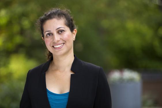 Nasim Sabouri, Umea University