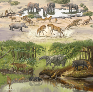 The fossil community in the Junggar Basin at ~17 million years ago