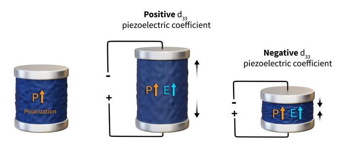 Unconventional piezoelectricity in ferroelectric hafnia