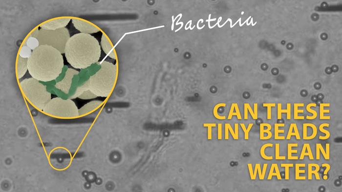 Enjambres de robots en miniatura limpian microplásticos y microbios simultáneamente