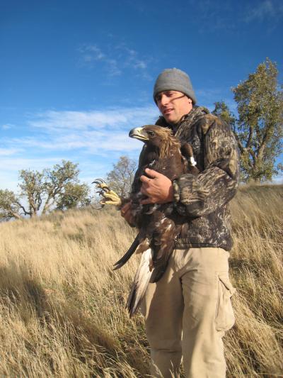 Biologist Nick Todd with Golden Eagle