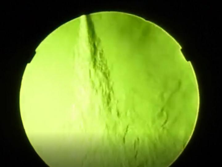 Food-coloring Dyes Disinfection