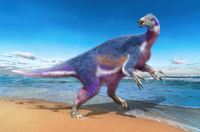 Paralitherizinosaurus japonicus