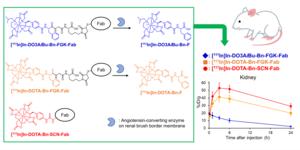 A new enzyme-based molecular design with key implications in radiotheranostics