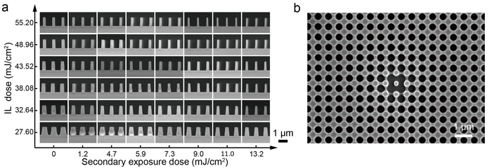 Figure 2 | Experimental results using IL-GPSE