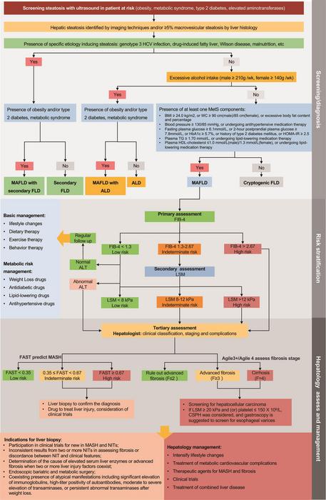 Guideline for the Prevention and Treatment of Metabolic Dysfunction-associated Fatty Liver Disease (Version 2024)