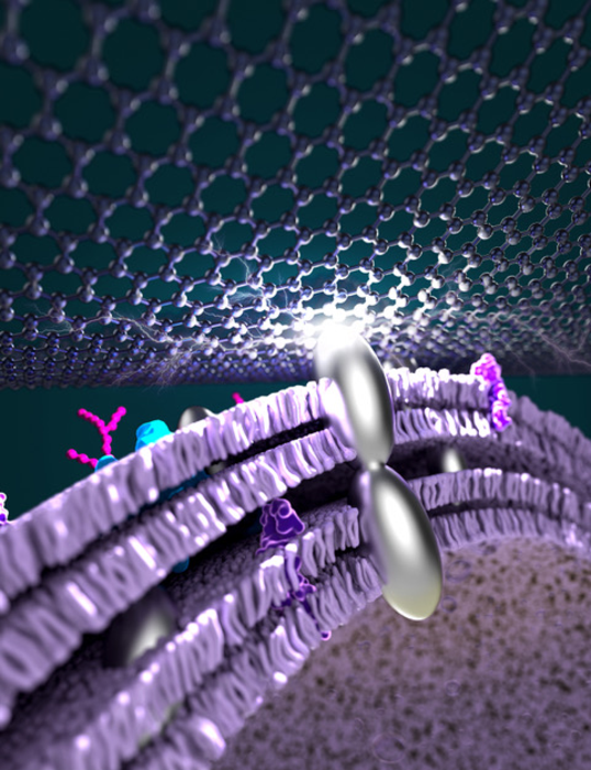 Microbial fuel cell with silver nanoparticles
