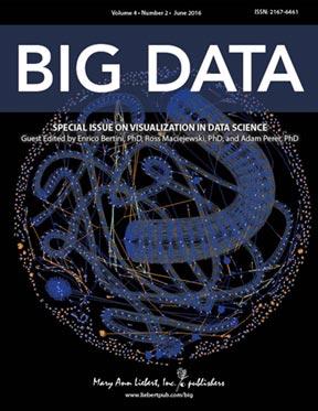 <i>Big Data</i>
