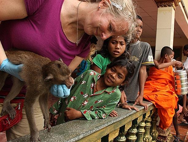 Urban Macaques in Cambodia