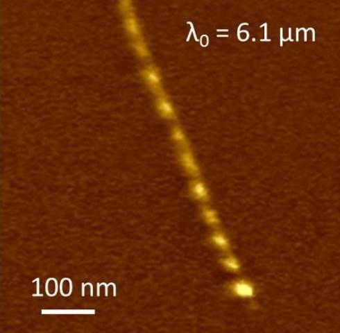 Ludinger Liquid Plasmons in SWNT