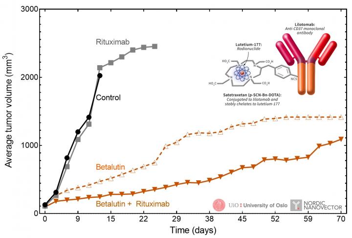 Synergistic effect of 177Lu-lilotomab in combination with rituximab.