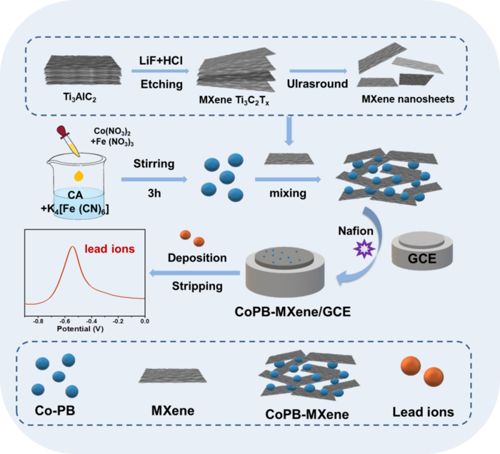 Portable Electrochemical Sensor Designed for Lead Ion Detection